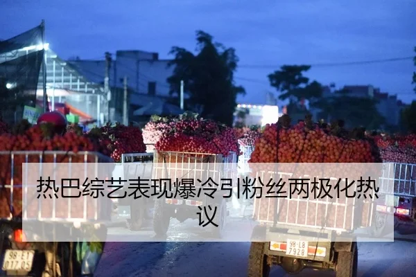 re-ba-zong-yi-biao-xian-bao-leng-yin-fen-si-liang-ji-hua-re-yi-1-357.jpg